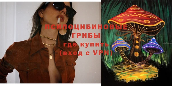 Альфа ПВП Пестово